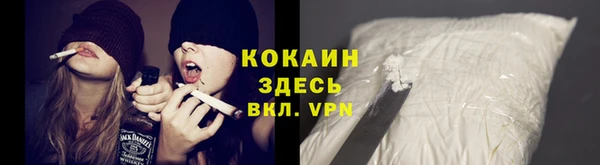 крисы Верея