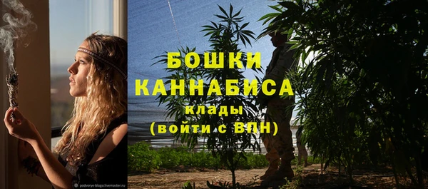крисы Верея