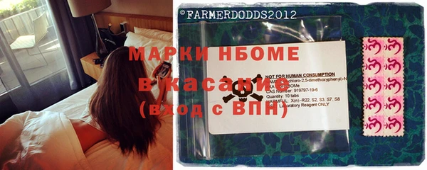 крисы Верея