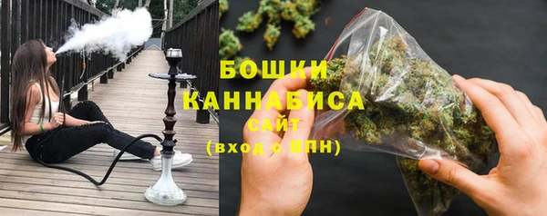 крисы Верея