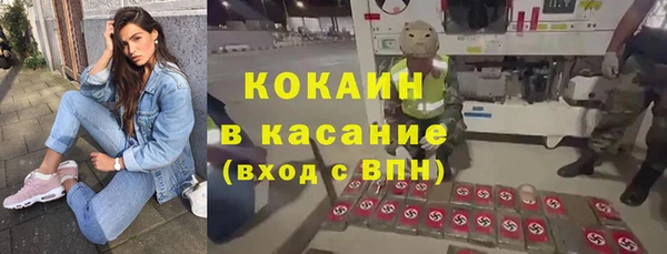 крисы Верея