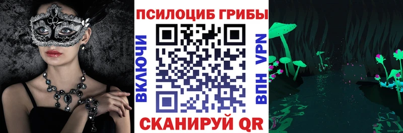 Купить закладки  Минусинск  Псилоцибиновые грибы GOLDEN TEACHER 