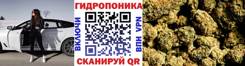 Канабис THC 21%  Купить закладки  Минусинск 